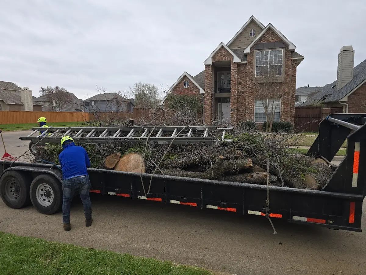 Expert Tree Fertilization with proper safety equipment in Bethalto